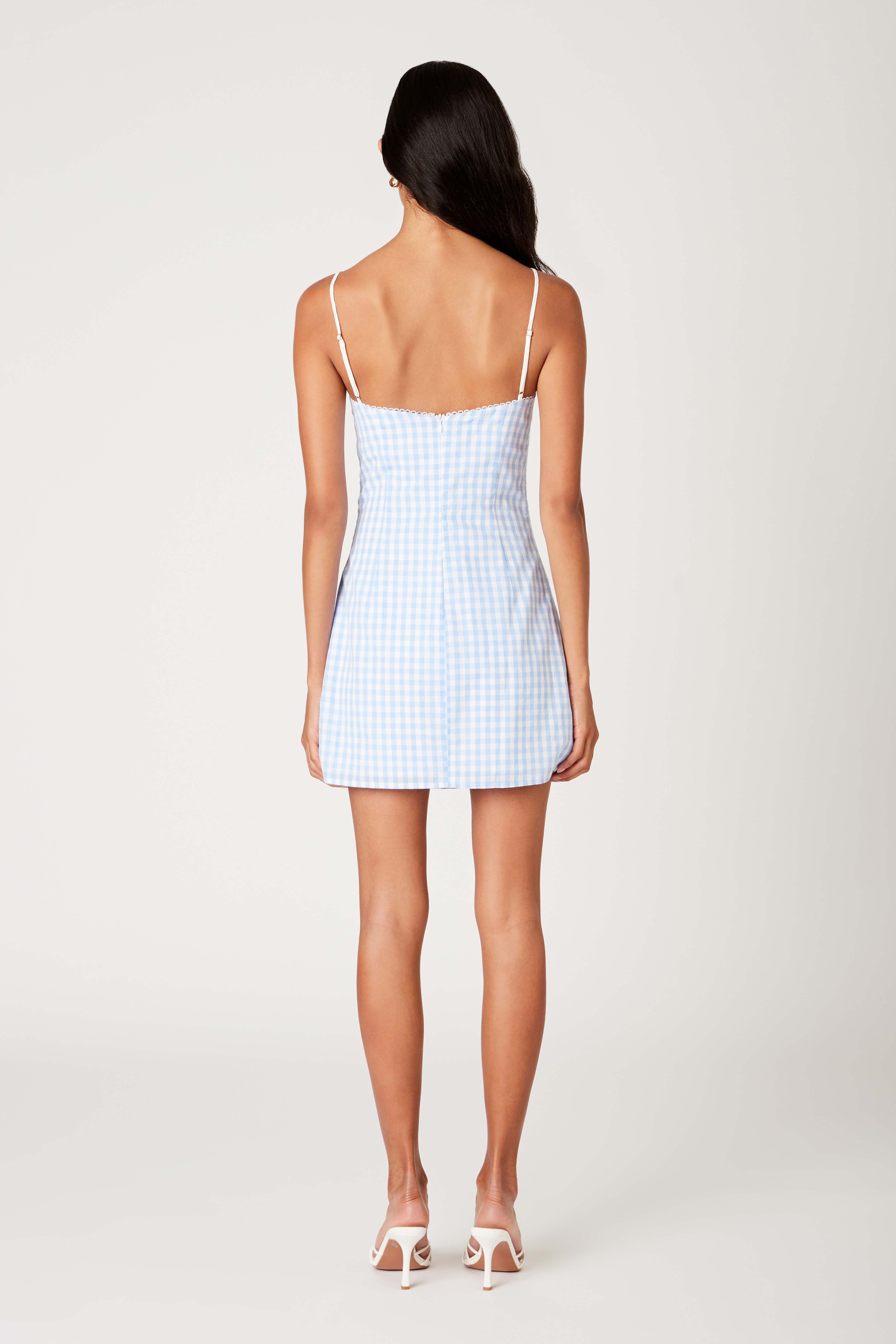 Serrano Dress in chambray back view
