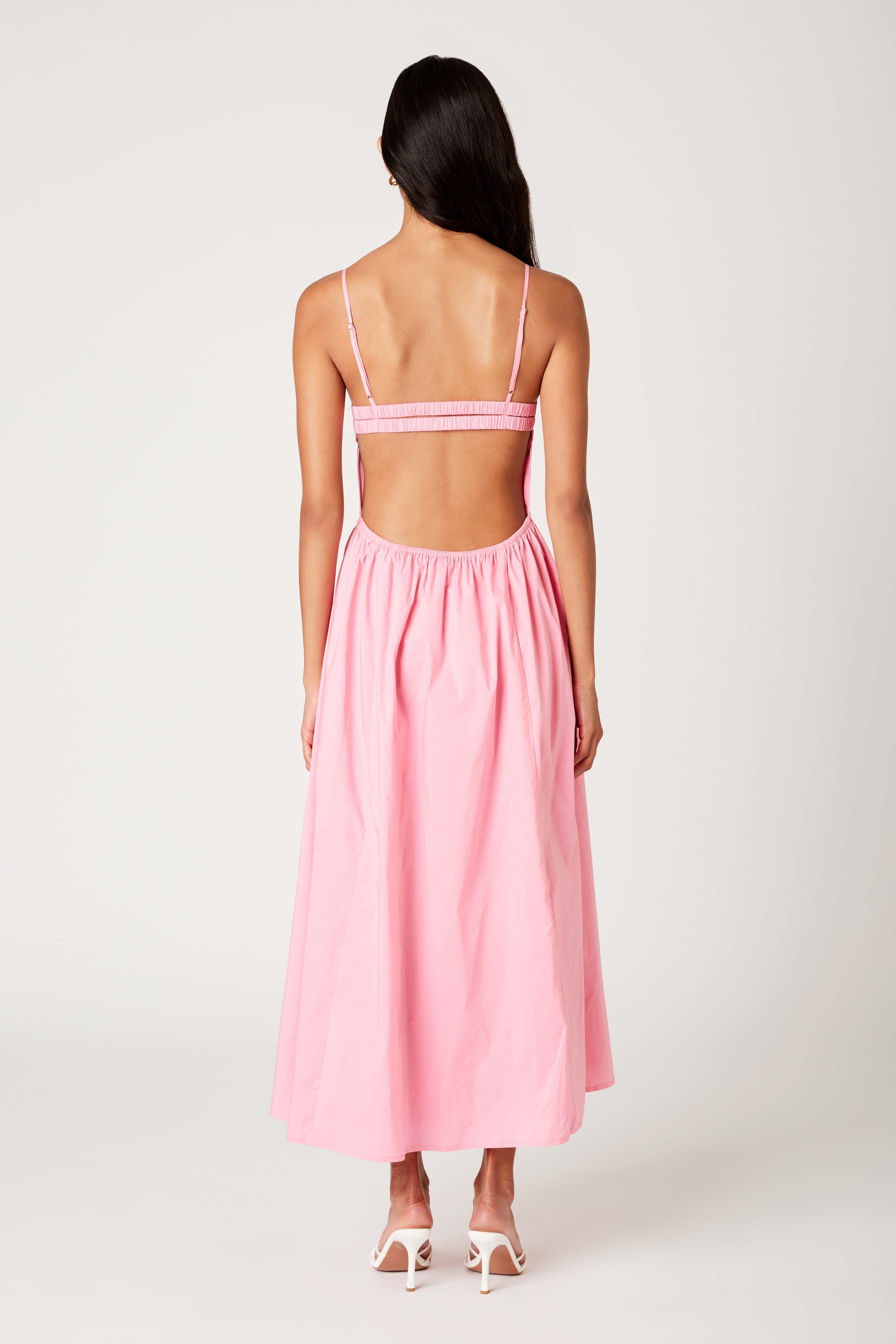 Destene Dress in bon bon back view