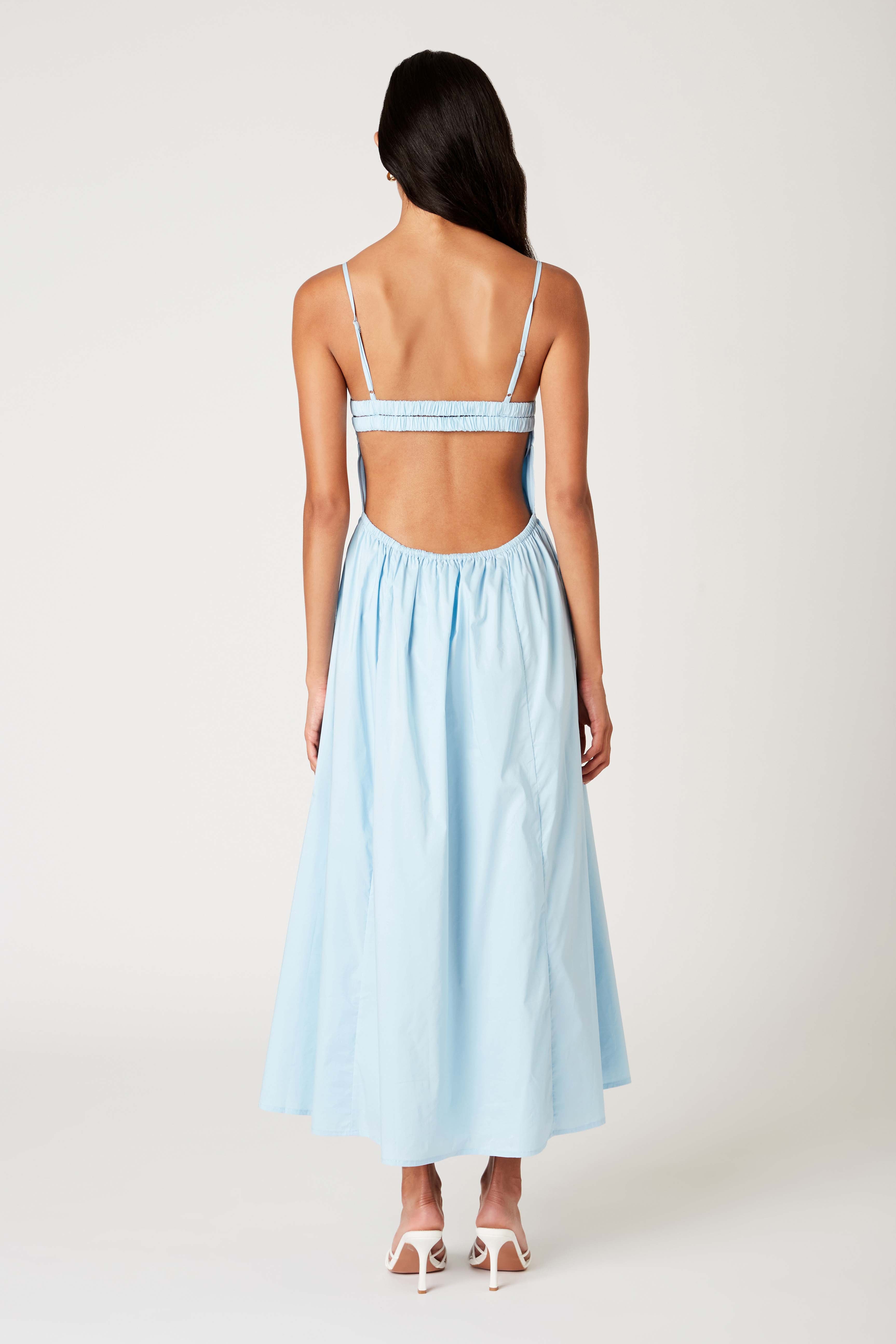 Destene Dress in chambray back view