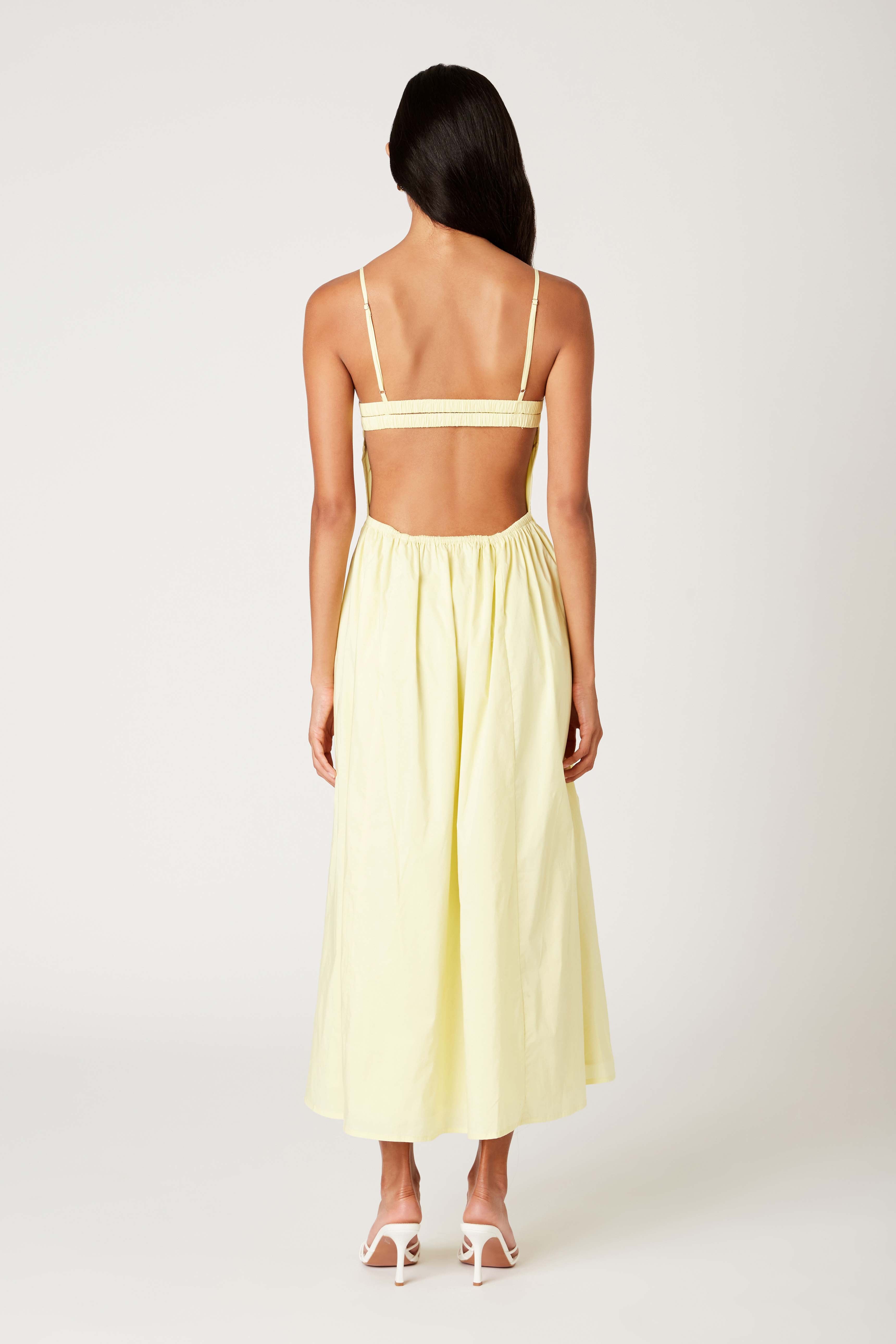 Destene Dress in parmesan back view