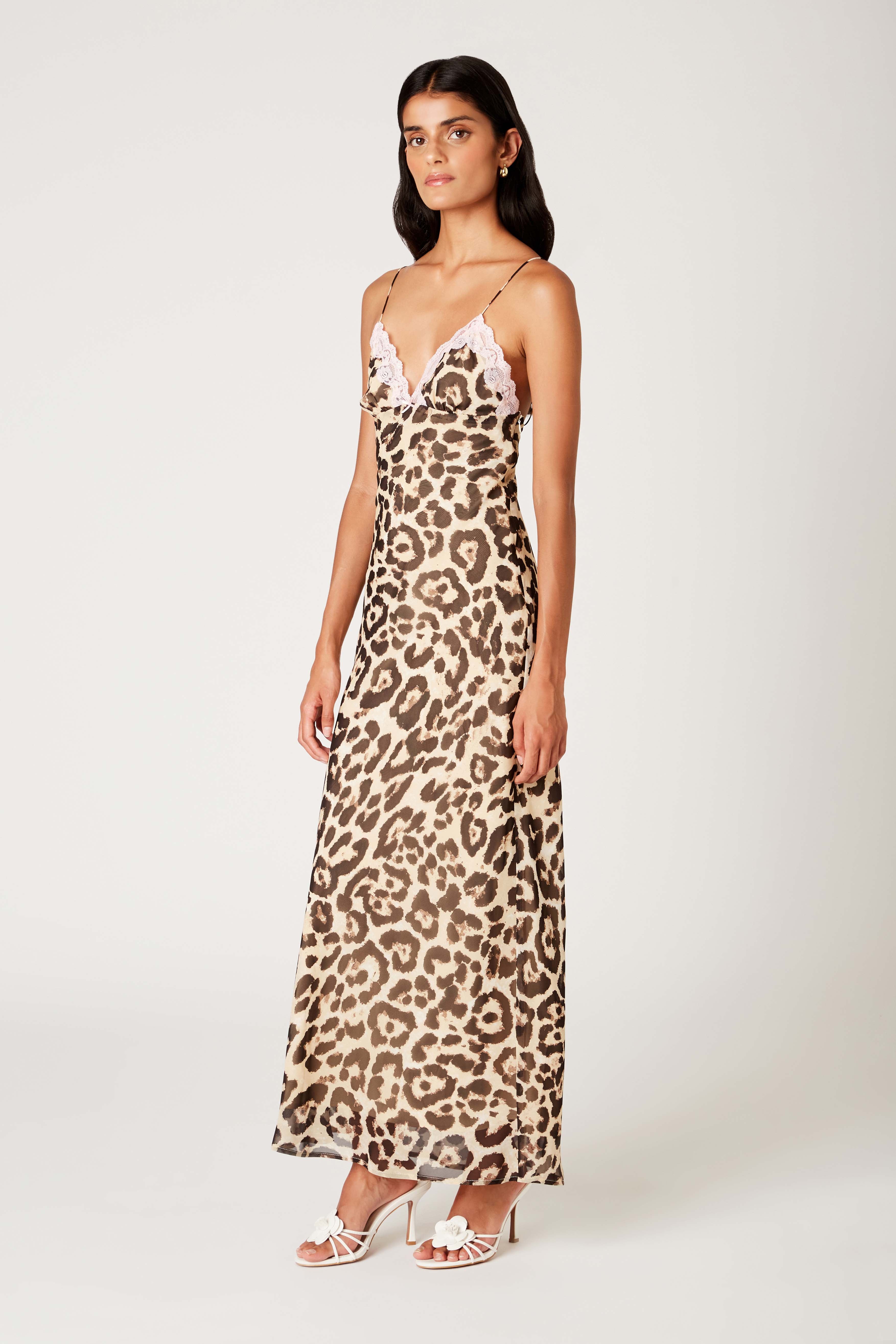 Jasmine Dress Jasmine Dress