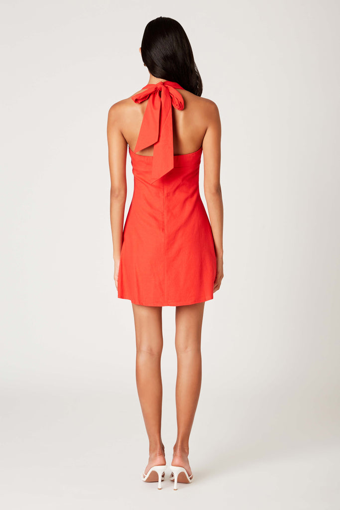 Emil Dress in cherry back view