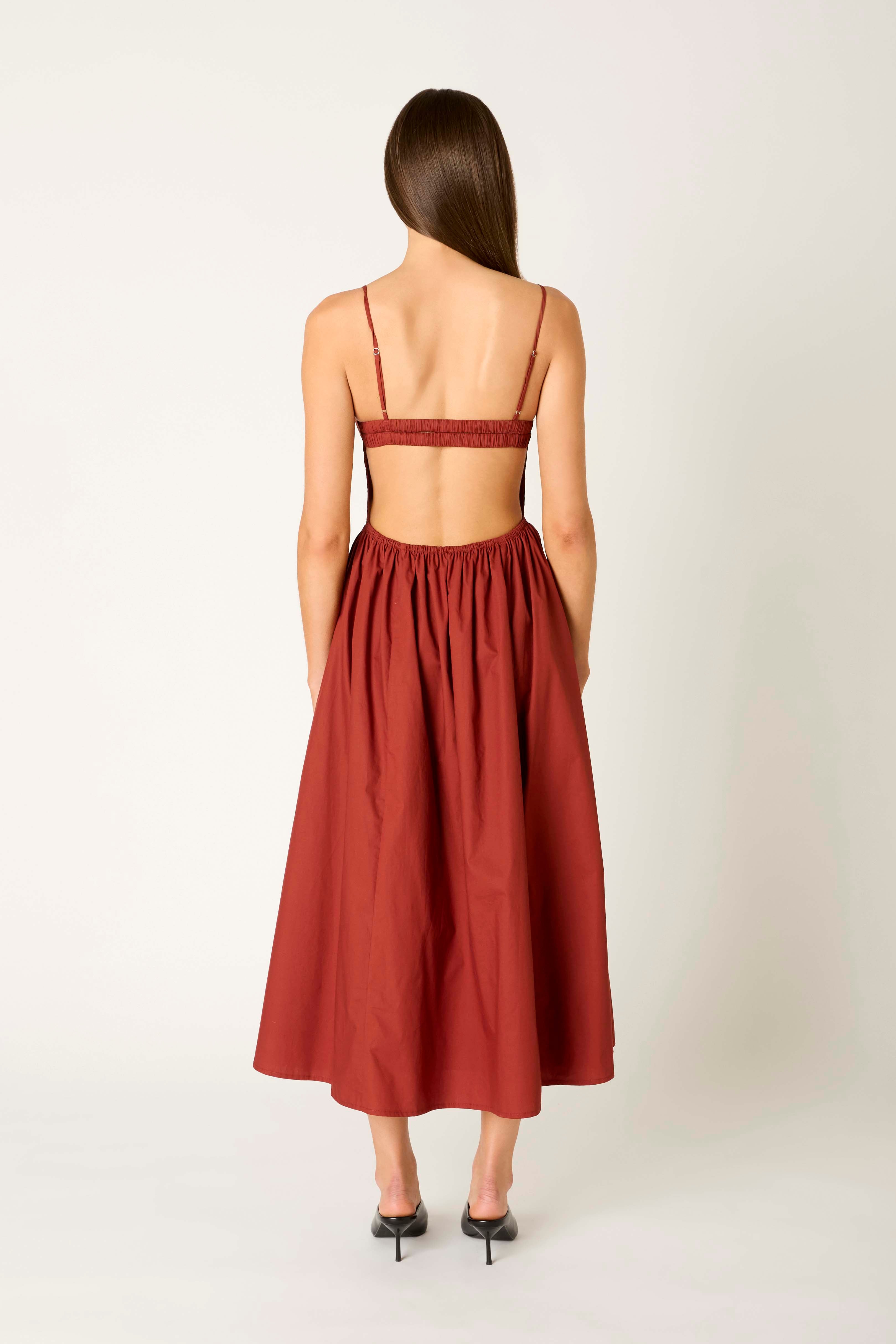 Destene Dress in cinnamon back view