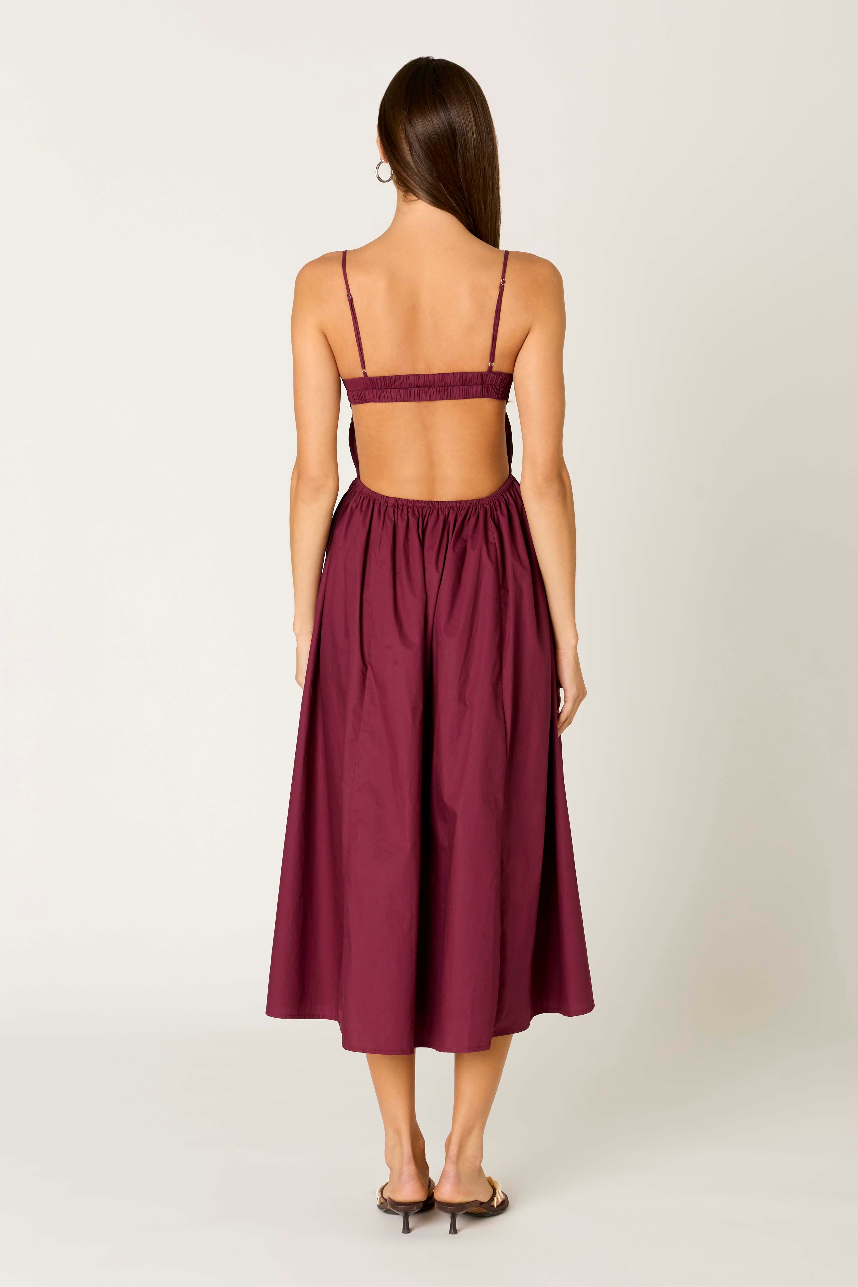 Destene Dress in plum back view
