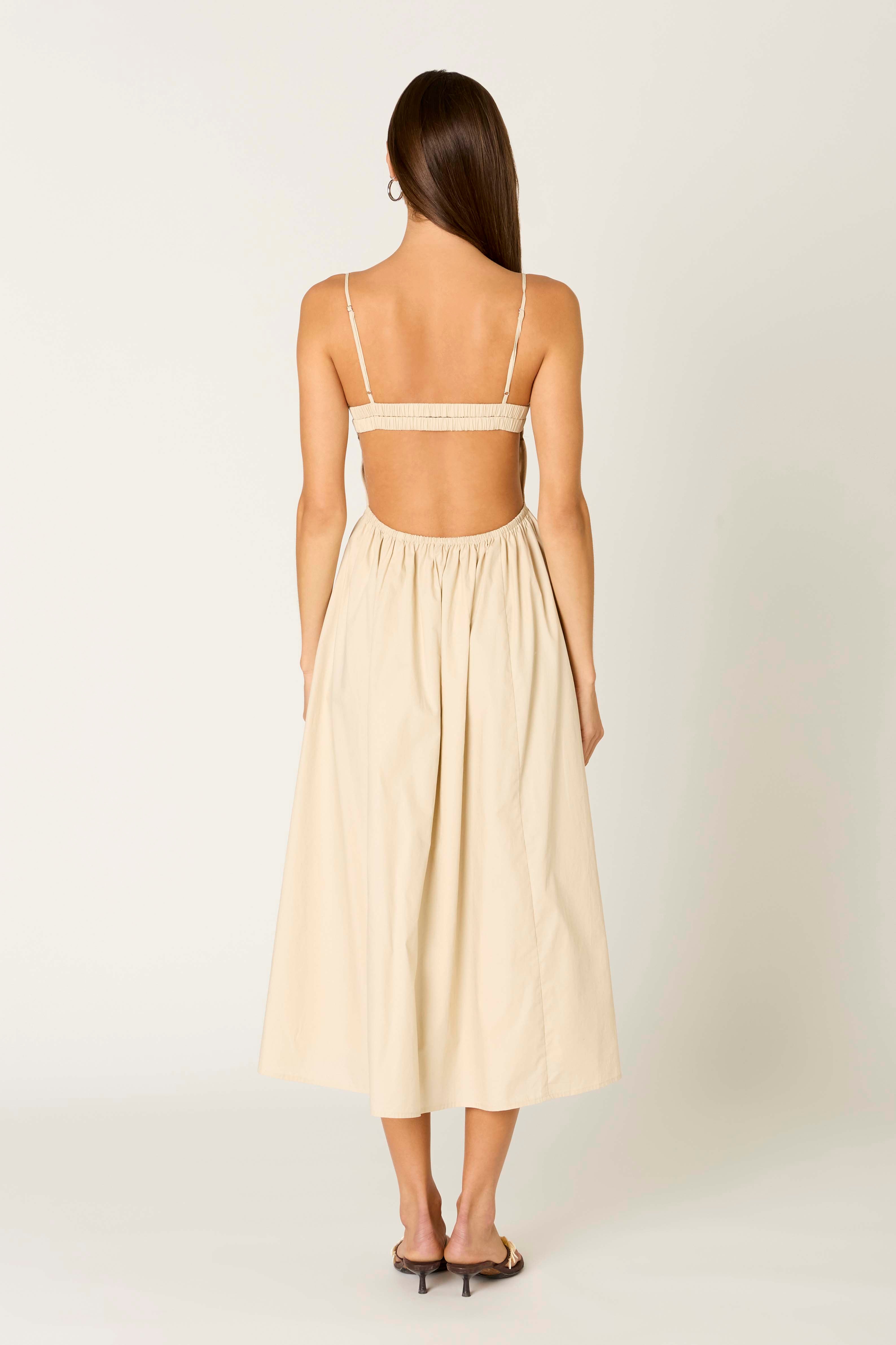 Destene Dress in shell back view