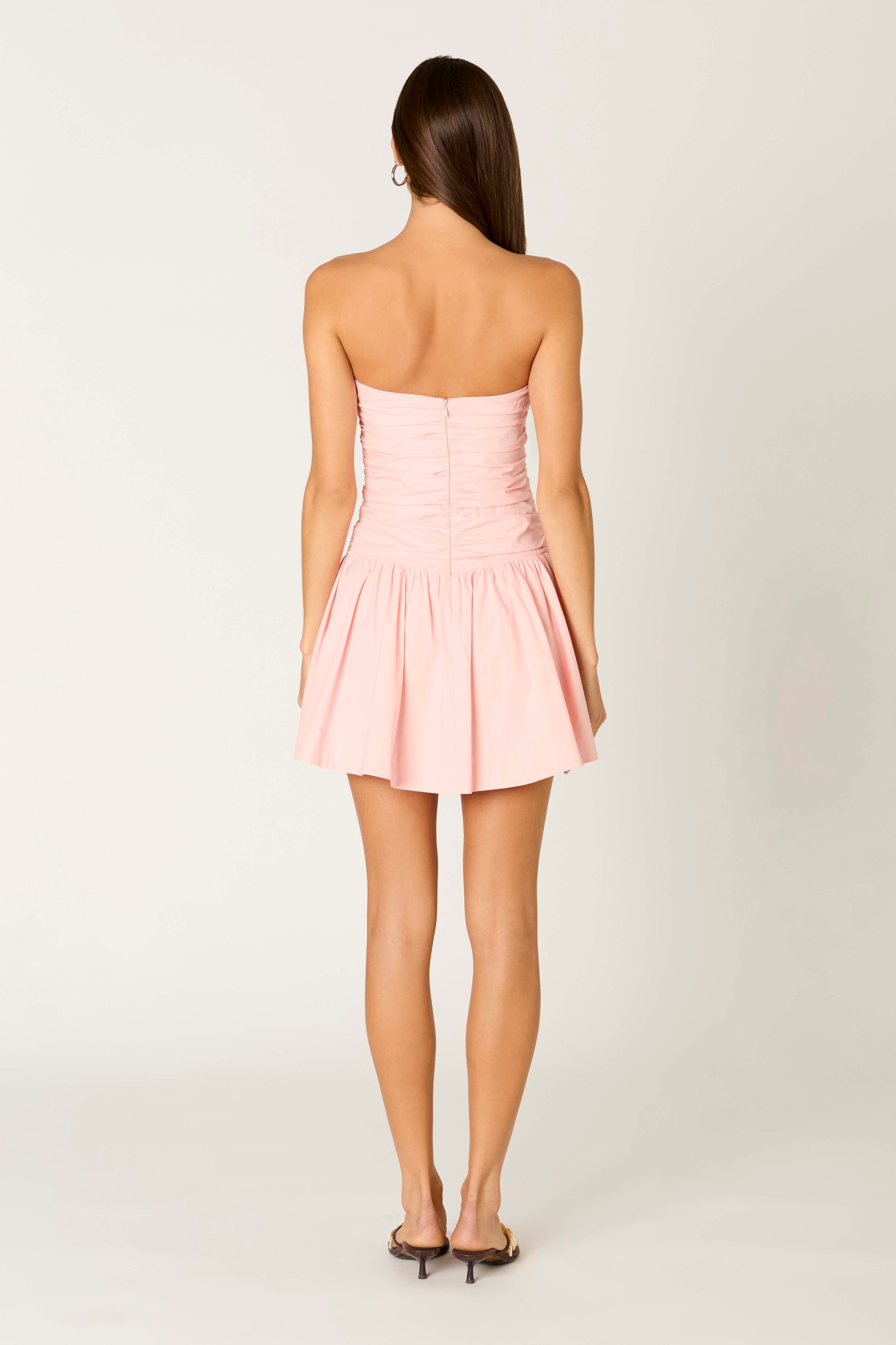 Currant Dress in blush back view