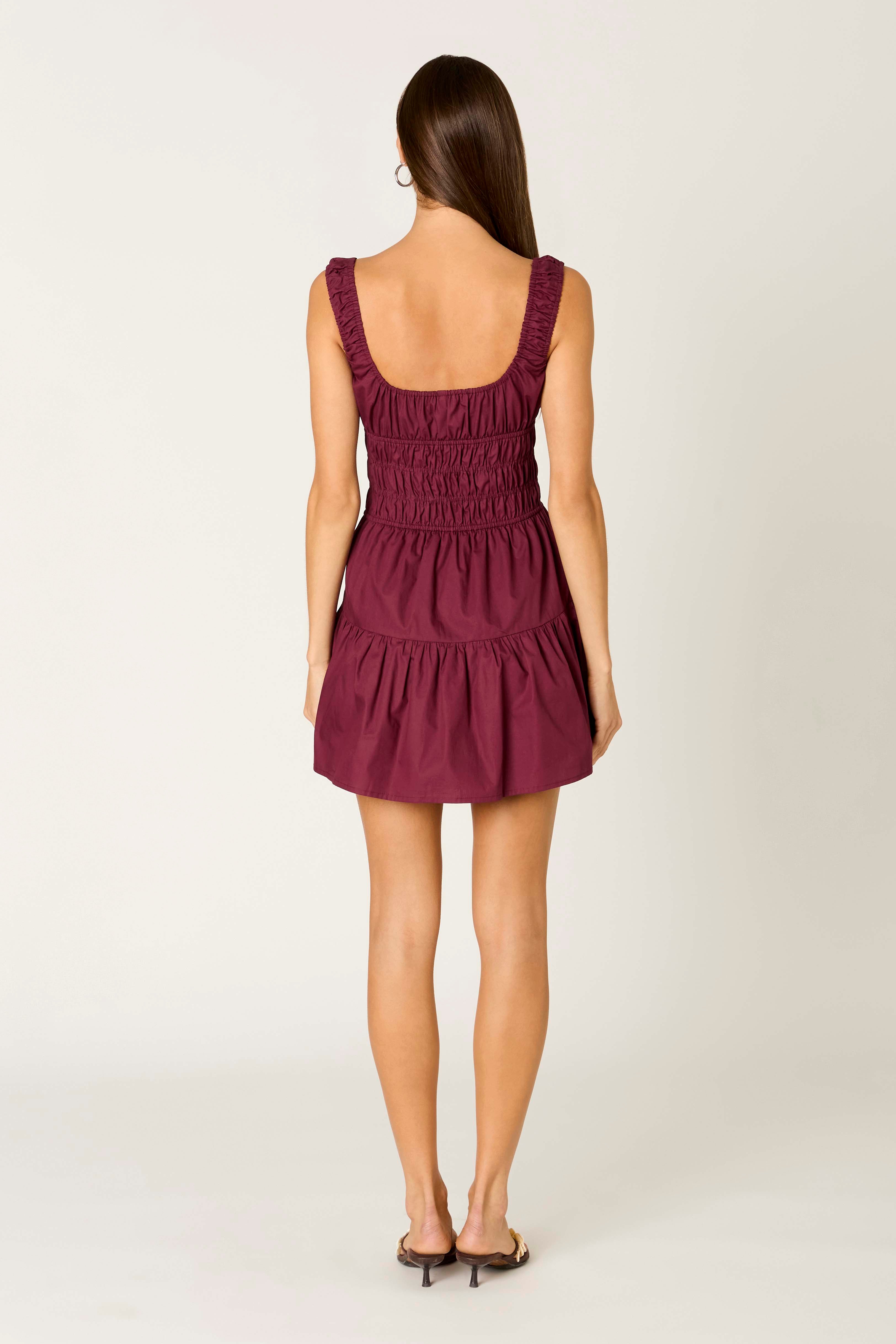Salt Dress in plum back view