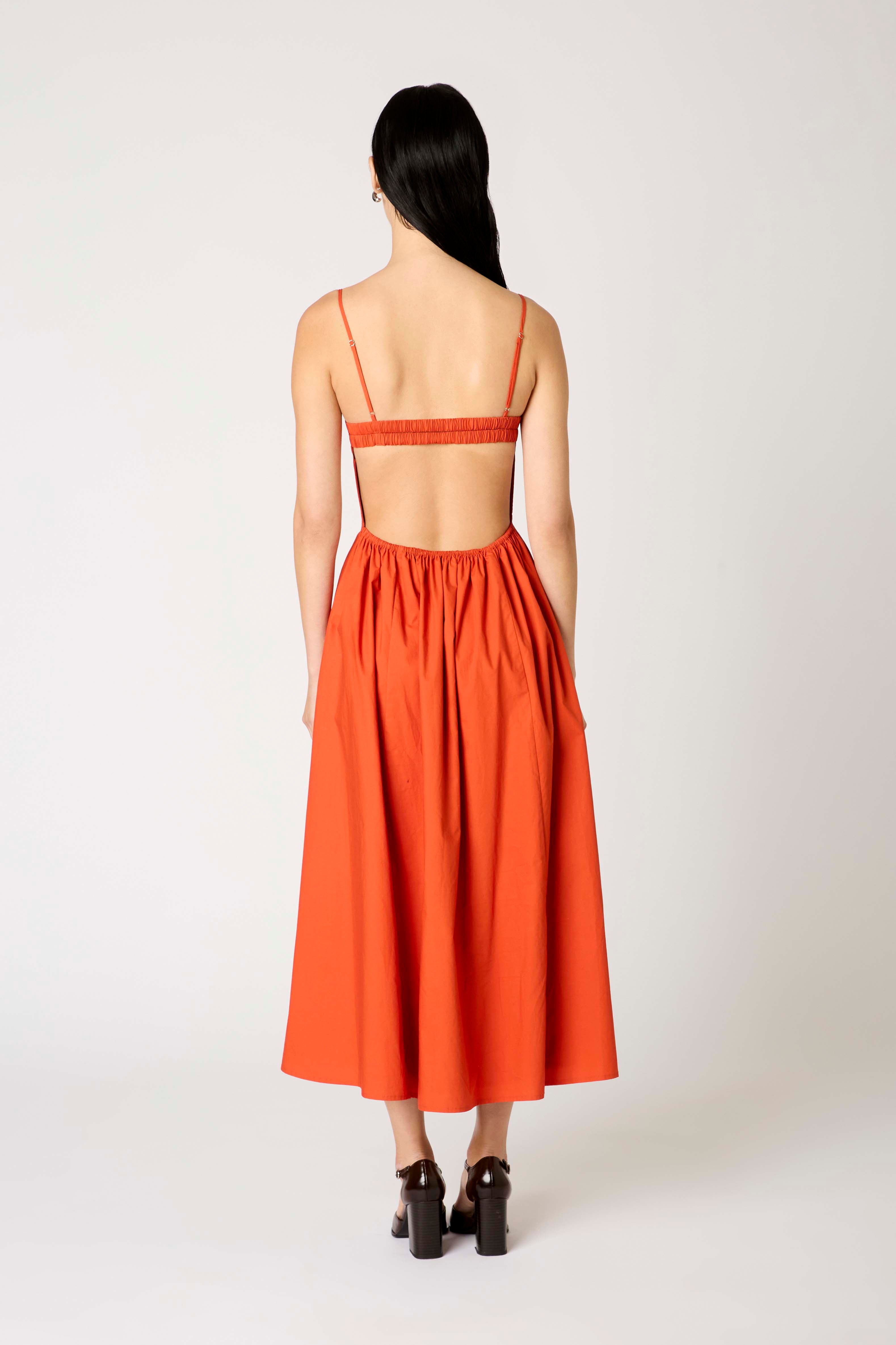 Destene Dress in rust back view 