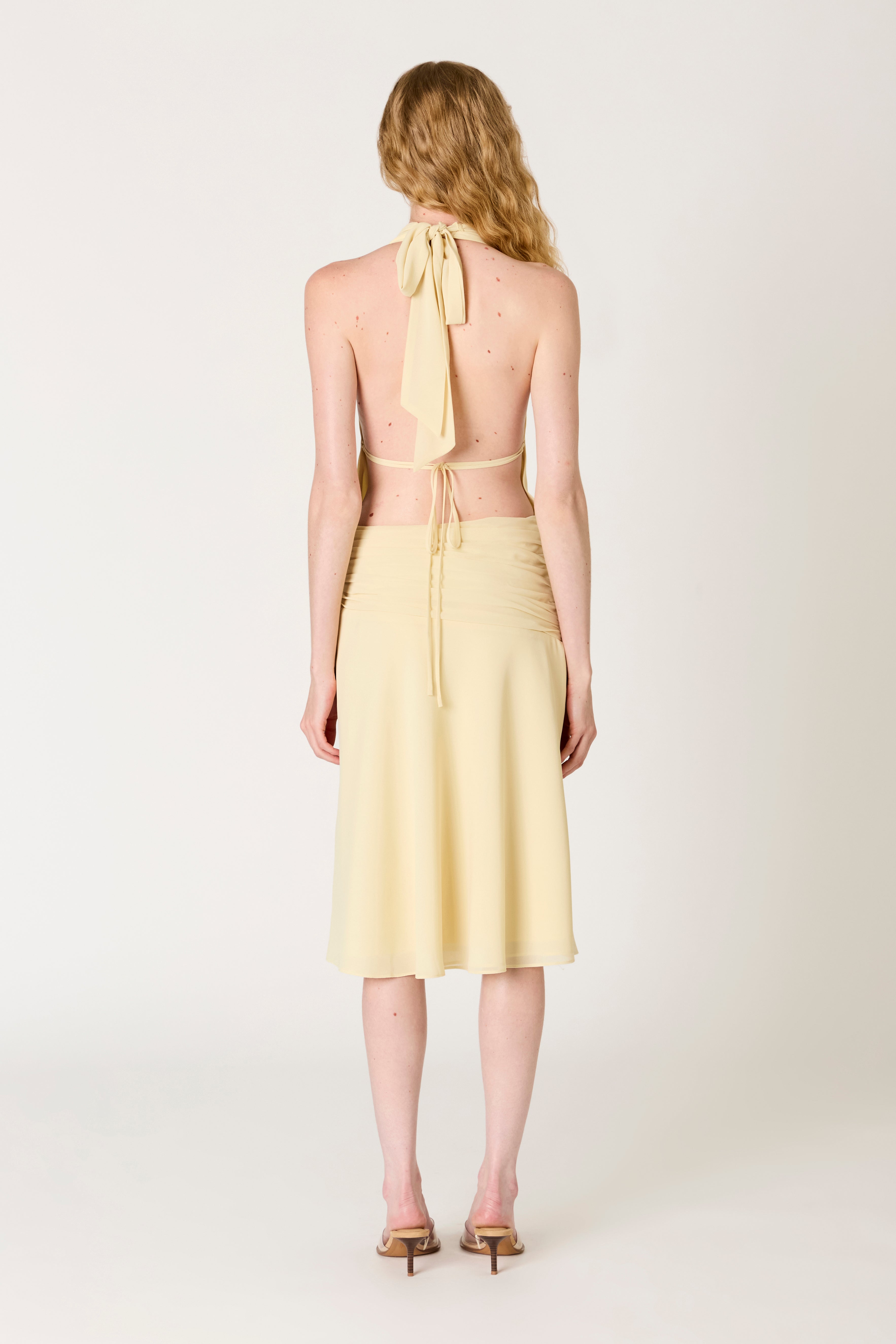 Ternura Dress in limon back view