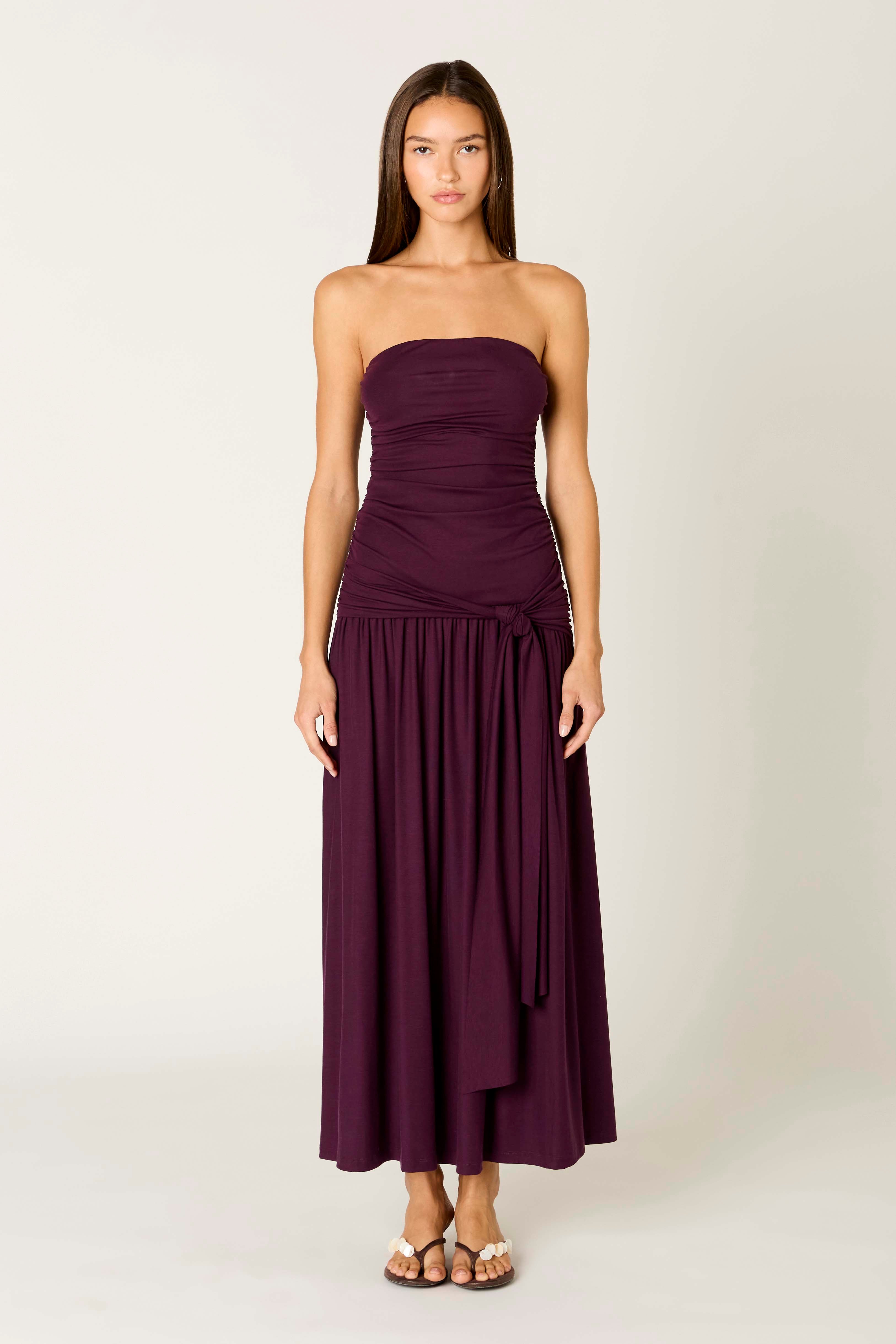 Sevilla Dress in plum front view