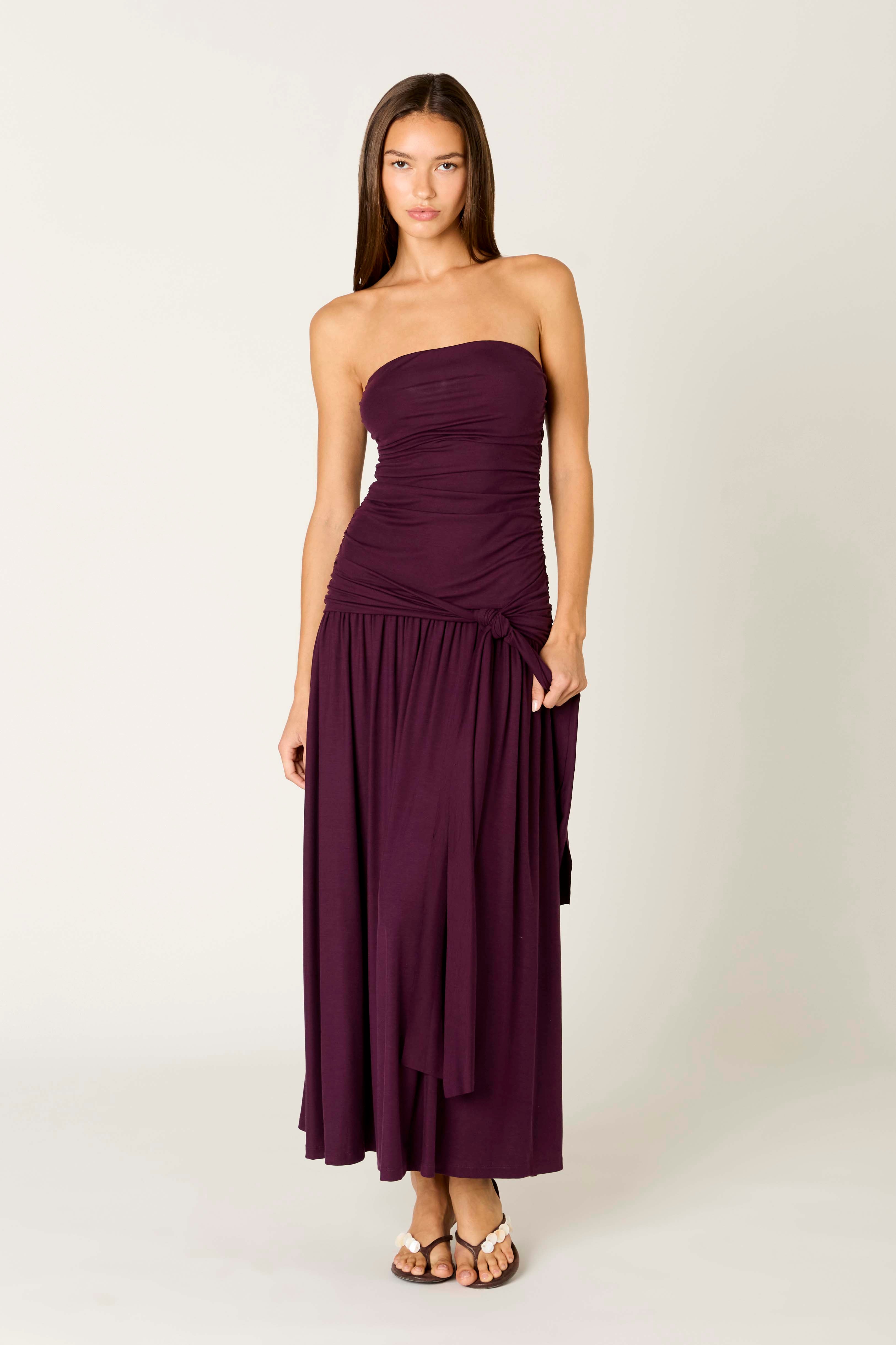 Sevilla Dress in plum front view