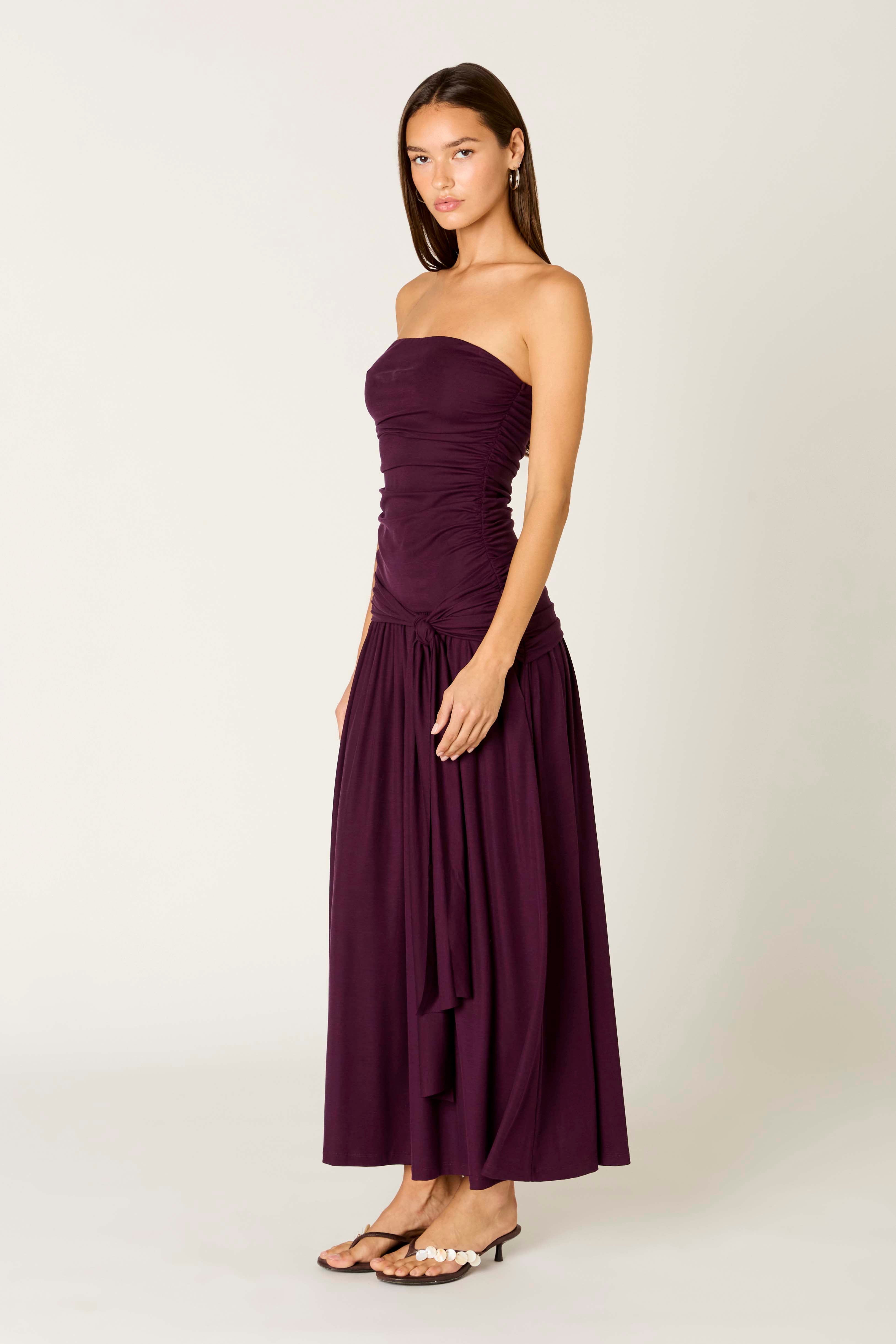 Sevilla Dress in plum side view