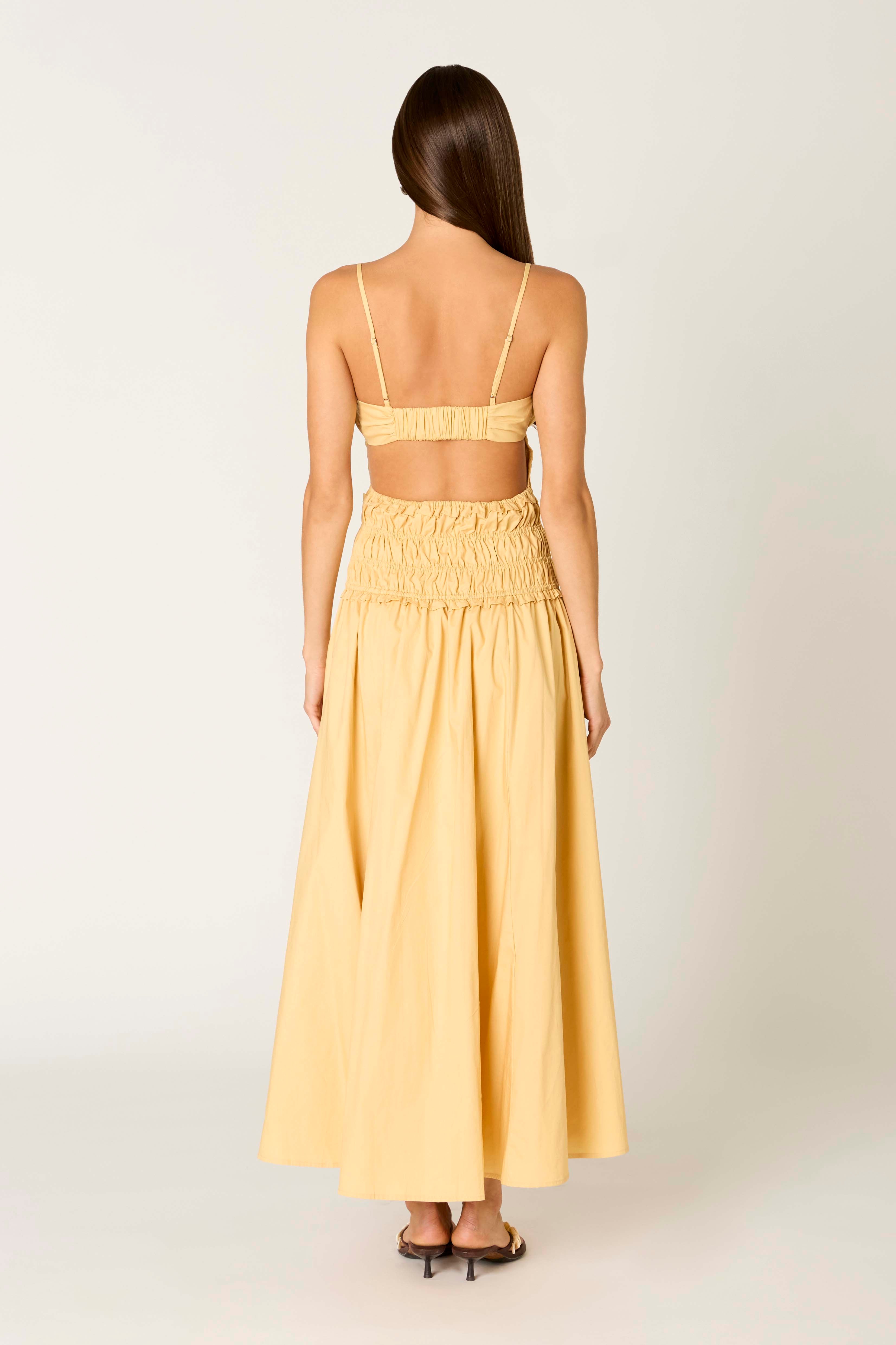 Dante Dress in maize back view