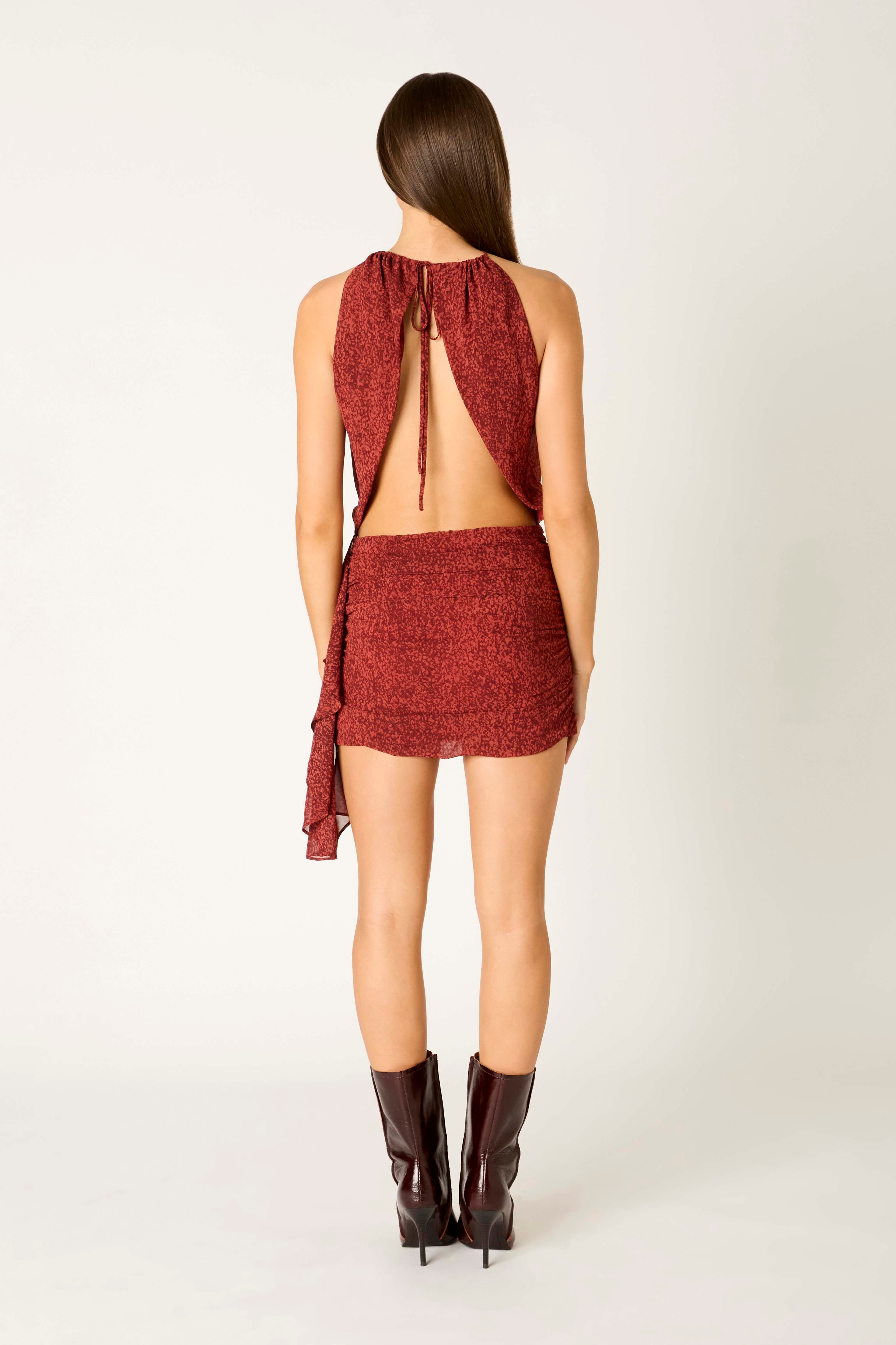 Lorenzo Dress in brick back view