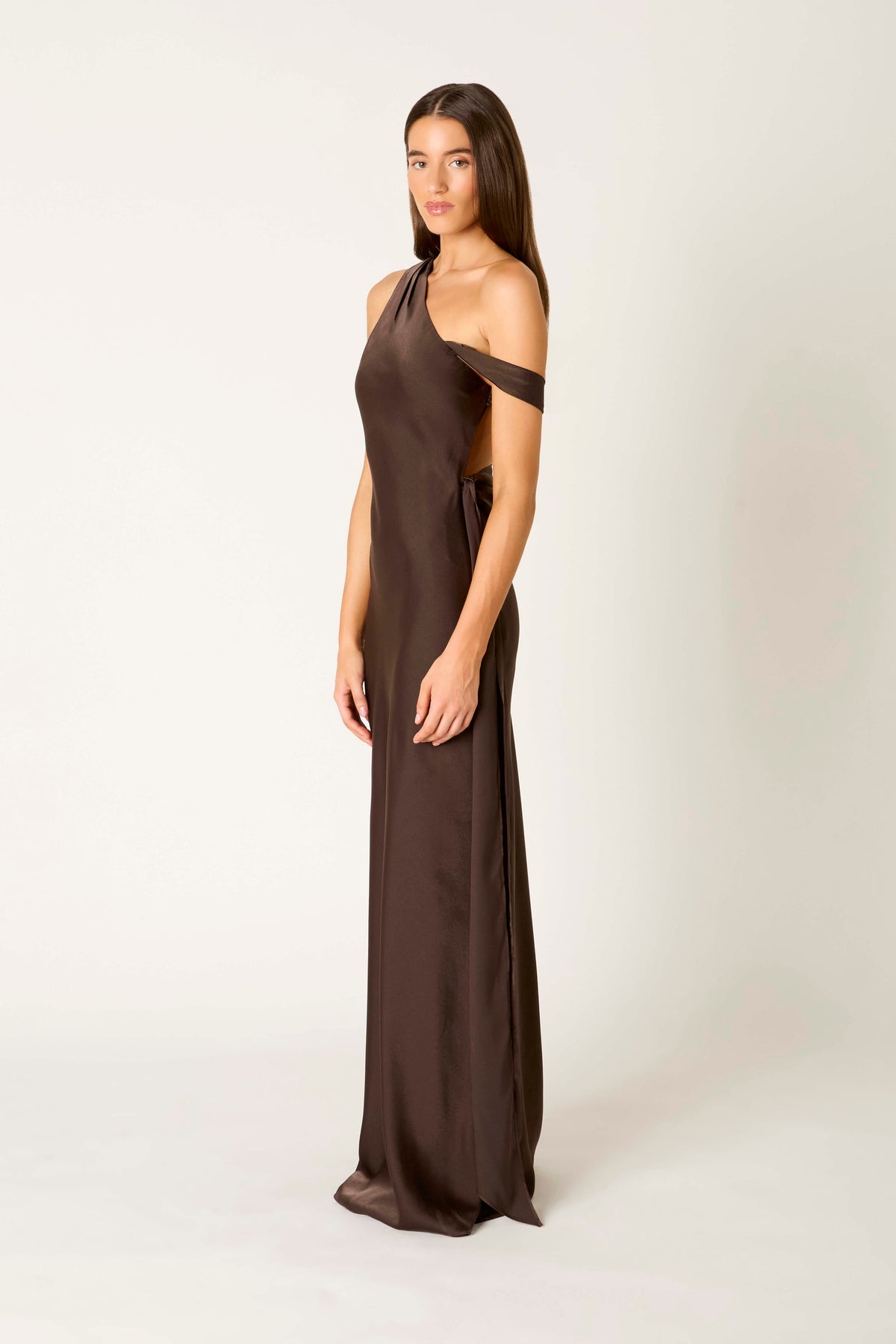 Star Crossed Dress in espresso side view