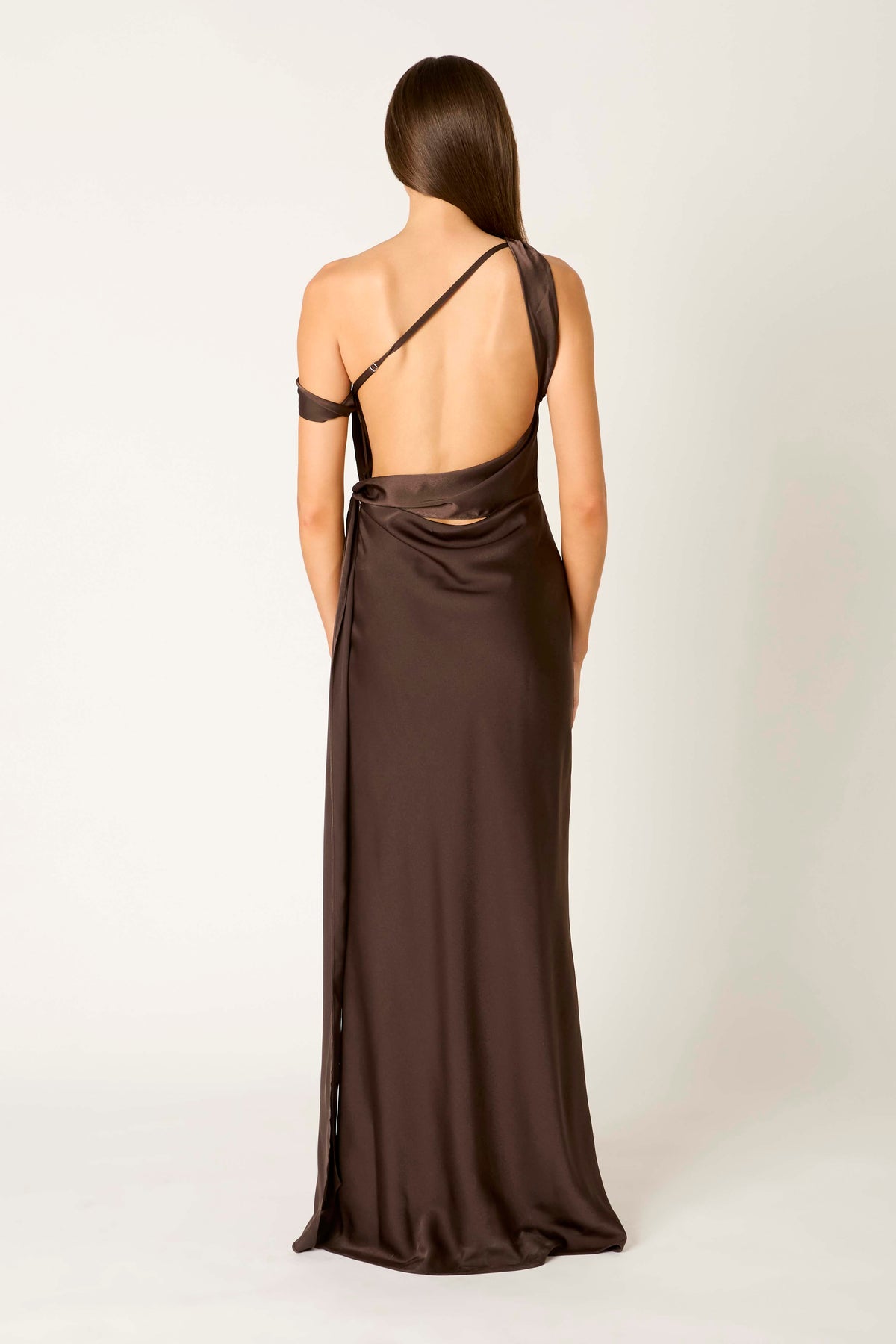 Star Crossed Dress in espresso back view