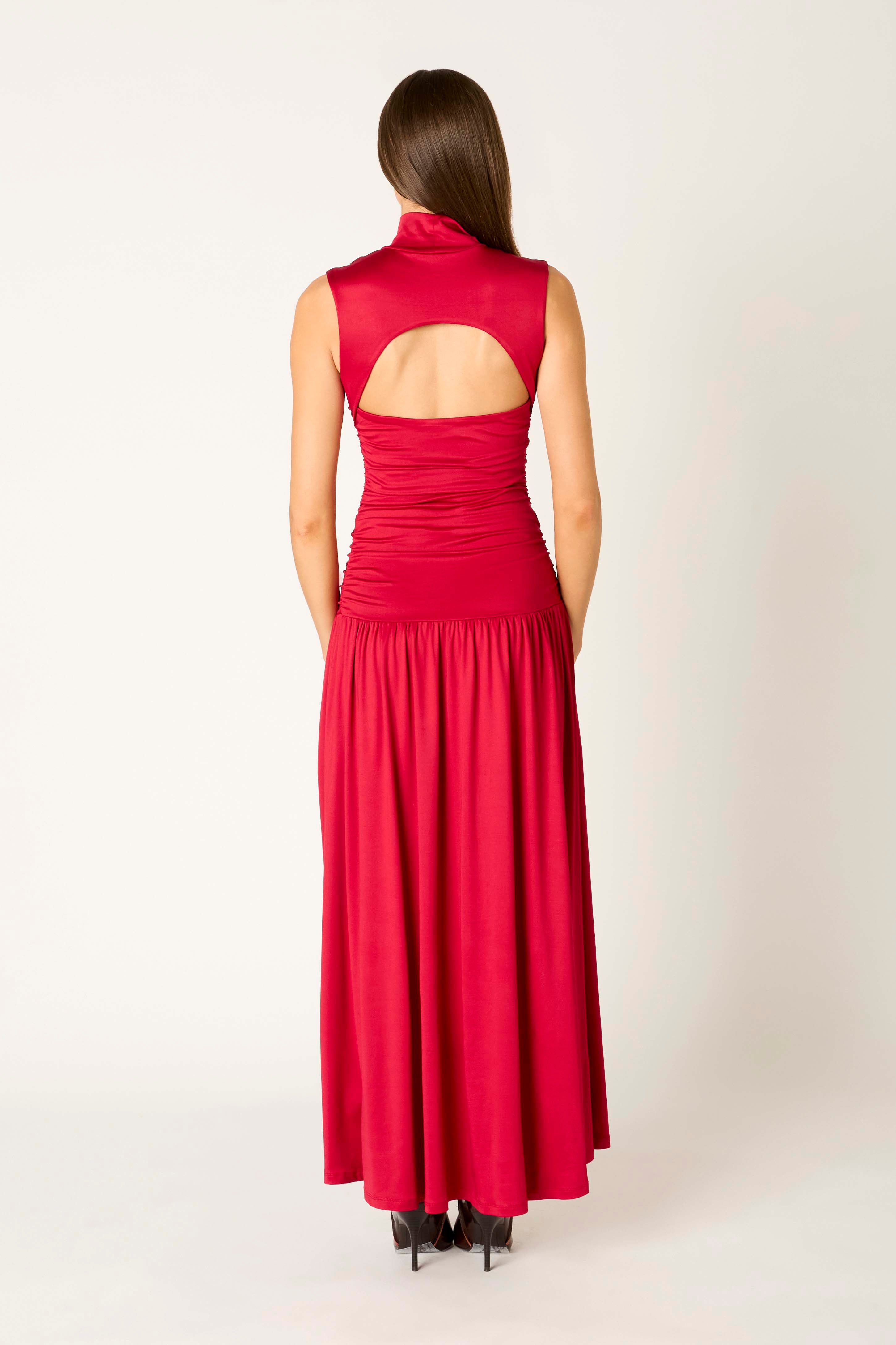 Lark Dress in brick back view