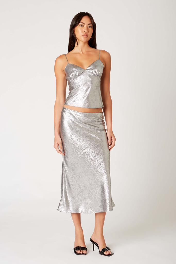 Lucien Skirt in chrome front view