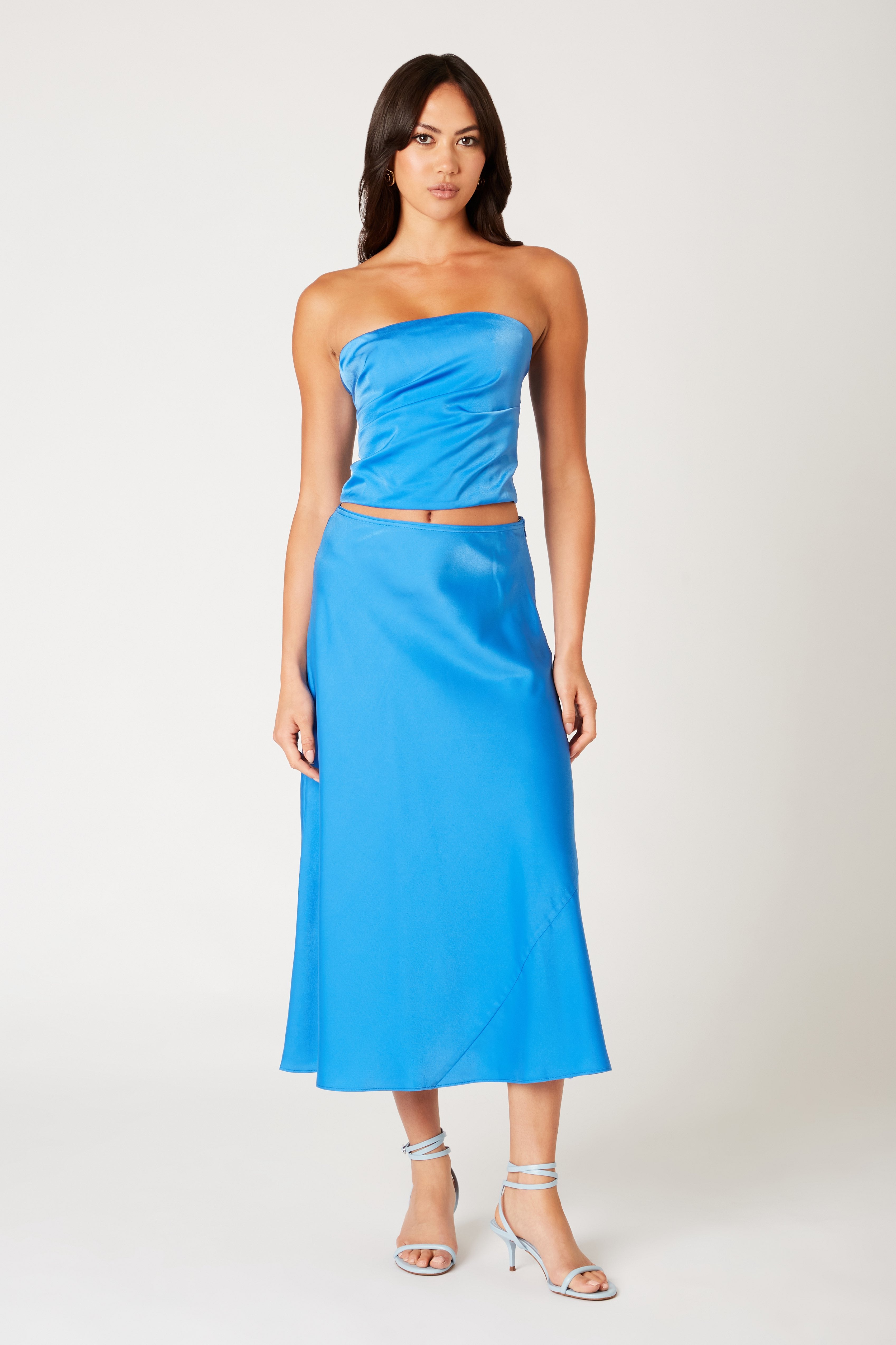 Penny Skirt in lapis front view