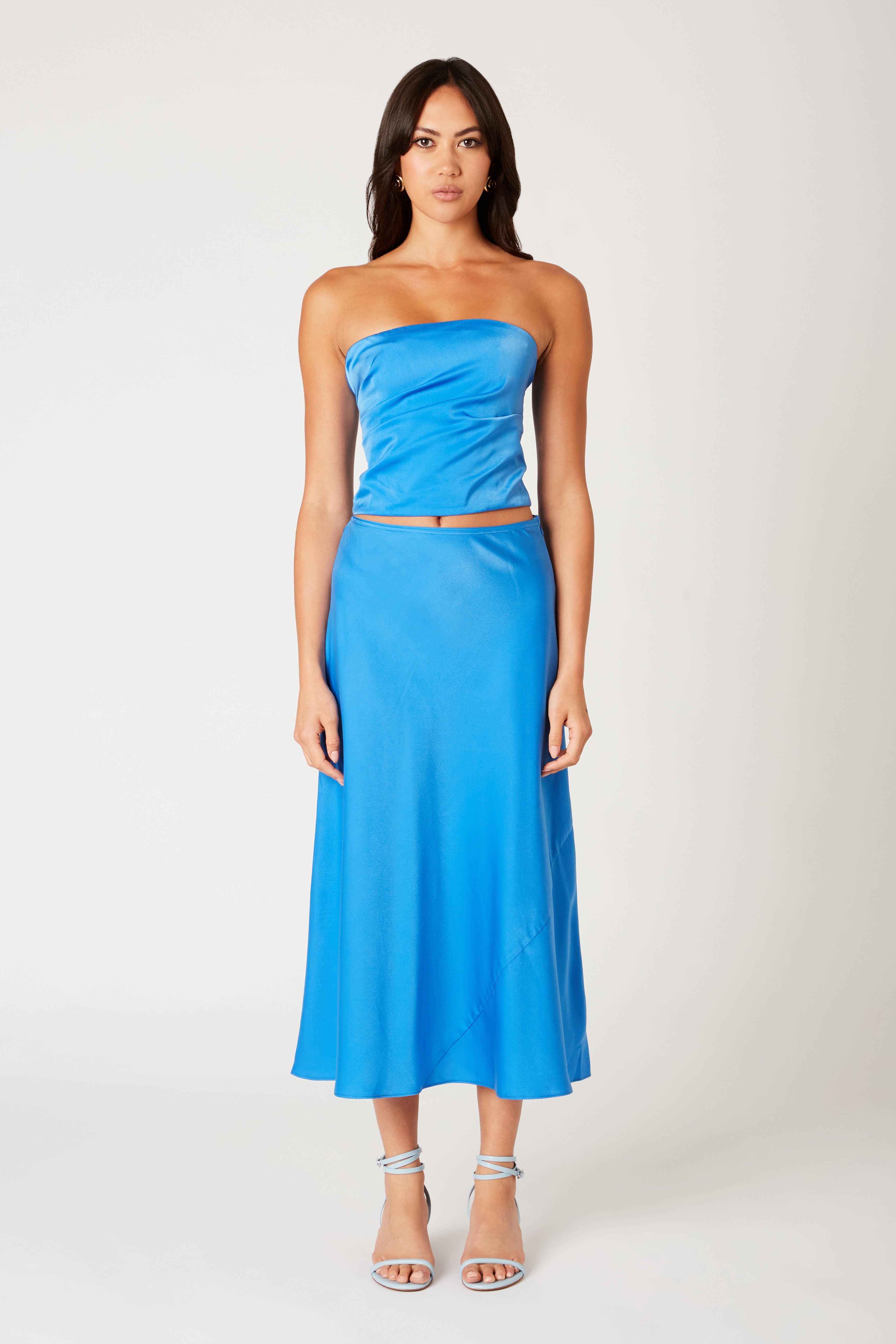 Penny Skirt in lapis front view