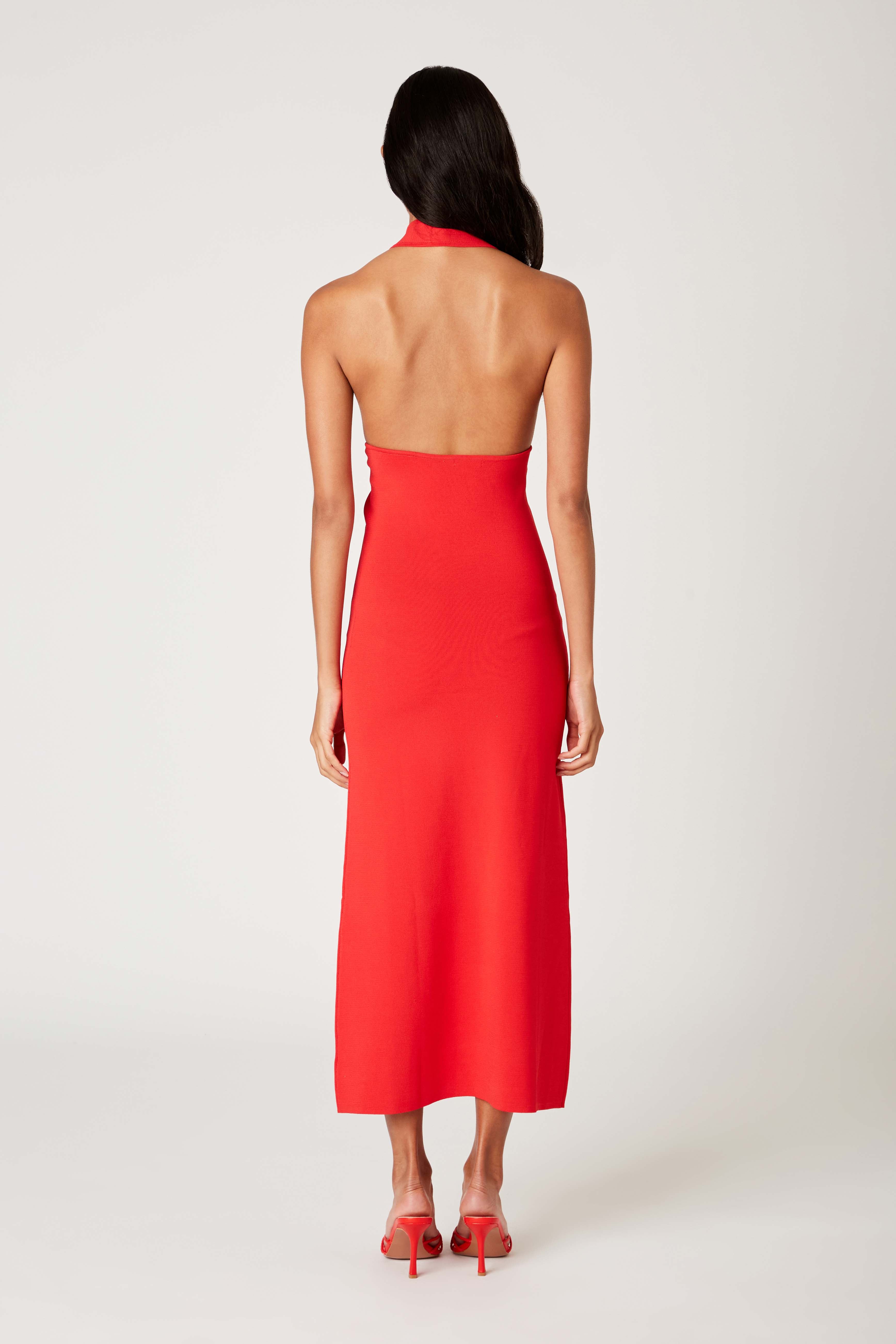 Tamia Knit Dress in cherry back view