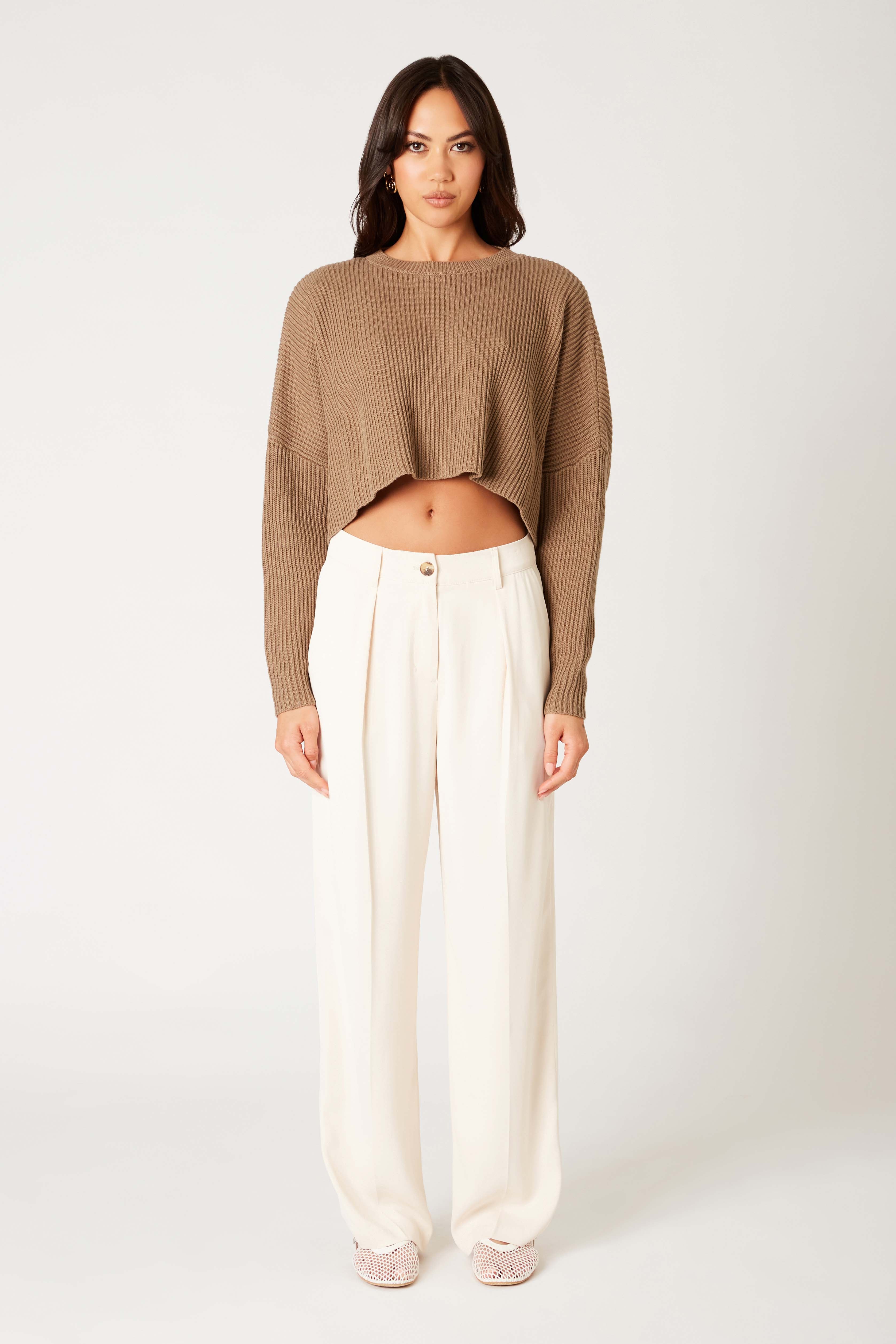 Ariana Sweater in sable front view
