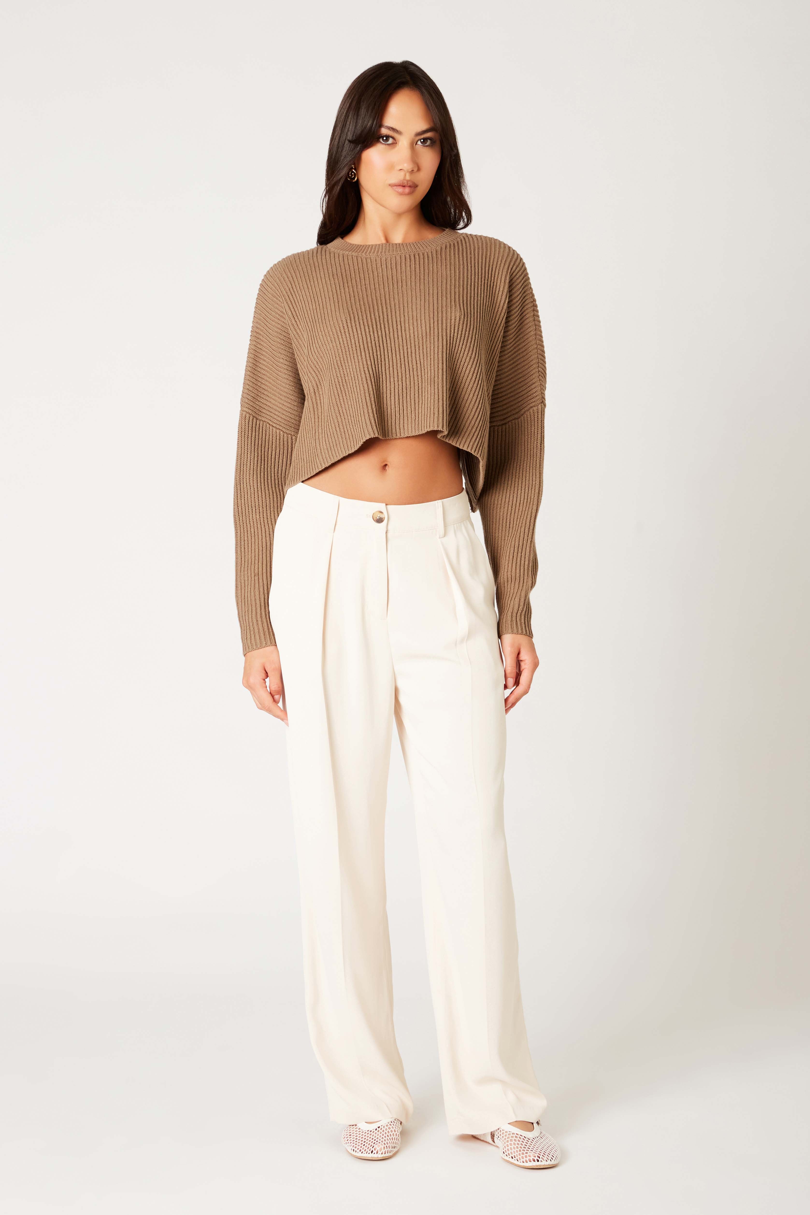 Ariana Sweater in sable front view