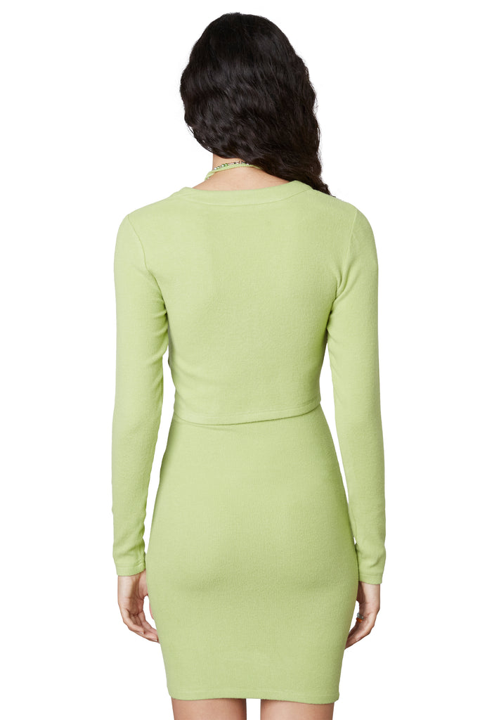 Ribbed Hacci Cardigan in pistachio, back view